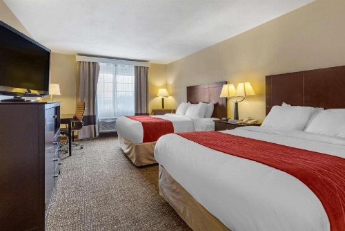Comfort Inn & Suites North Tucson - Marana image 2
