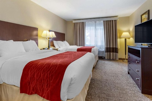 Comfort Inn & Suites North Tucson - Marana image 24