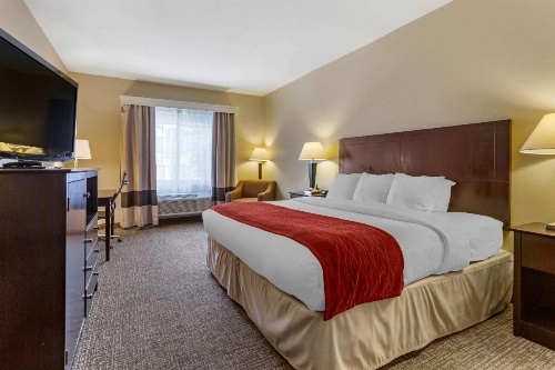Comfort Inn & Suites North Tucson - Marana image 27